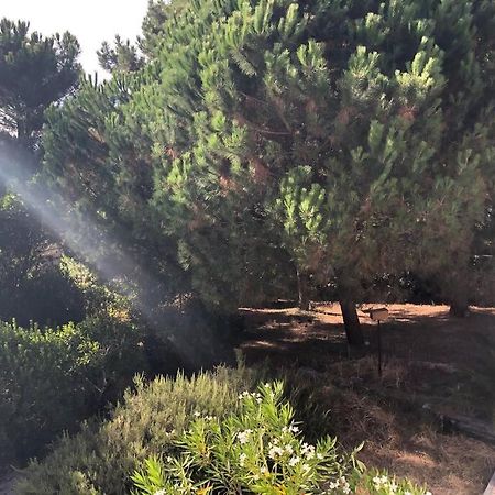 Villa Arethuse - Pyla Sur Mer المظهر الخارجي الصورة
